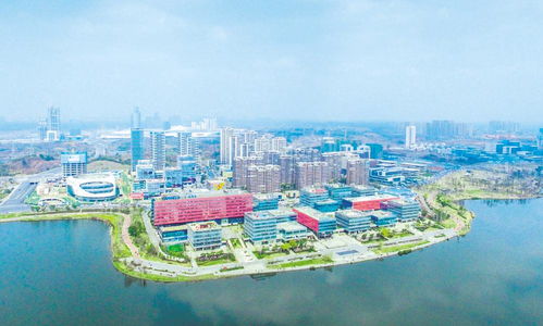 图读2021年成都市产业生态圈规划——计算机网络技术开发领域重点解析