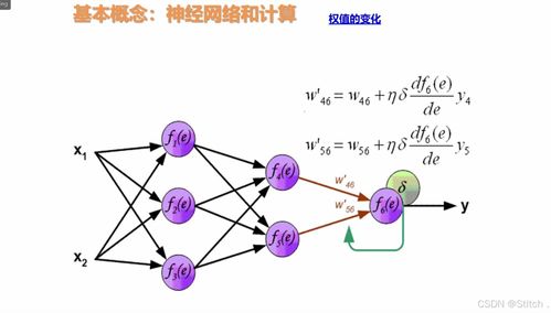 从PyTorch入门到神经网络实践 复旦大学计算机工作站的学习之旅