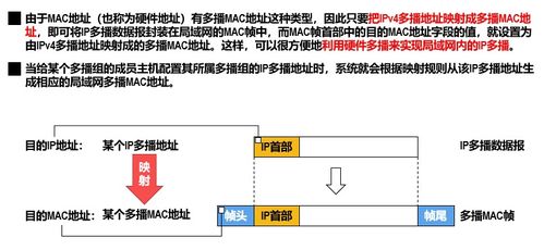 计算机网络第四层 网络层及其技术开发